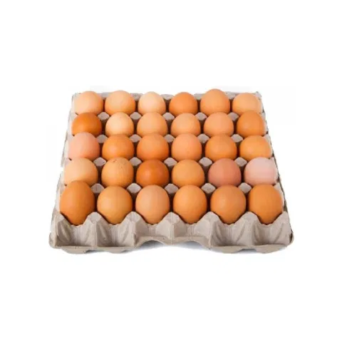 Chicken Eggs XL 30pcs