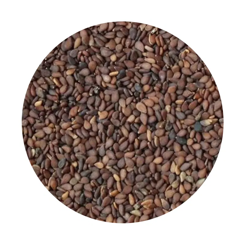 Khairo Til (Brown Sesame Seeds) 100g