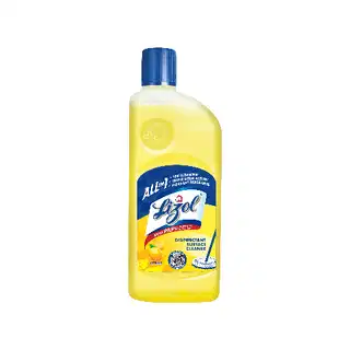 Lizol Disinfectant Surface & Floor Cleaner 500ml