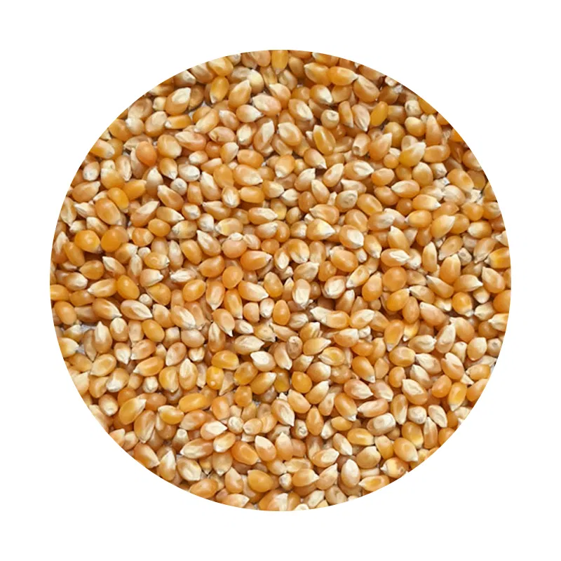 Murali Makai (Pop Corn) 1kg