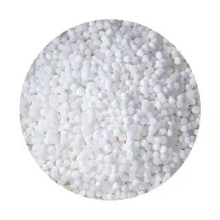 Sabudana (Sago) 200g