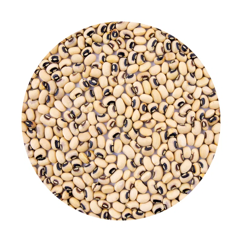 Seto Bodi (White Beans) 1kg