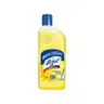 Lizol Disinfectant Surface & Floor Cleaner 500ml